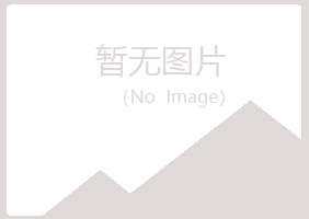 安阳山柏会计有限公司